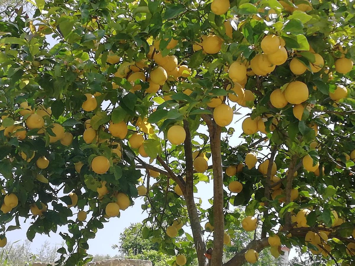 Binario 9 E 3/4 Agropoli